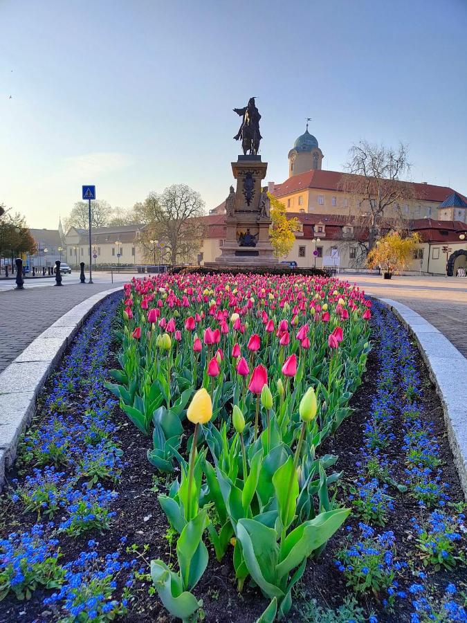Homestay Poděbrady Dış mekan fotoğraf