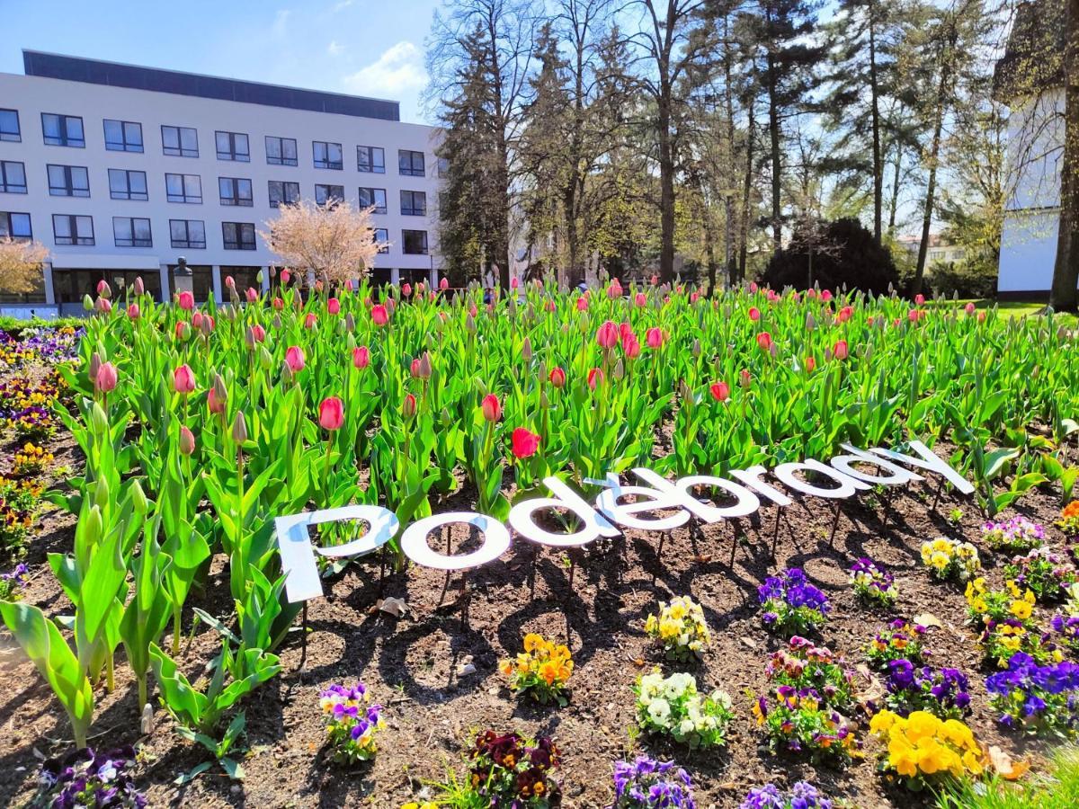 Homestay Poděbrady Dış mekan fotoğraf