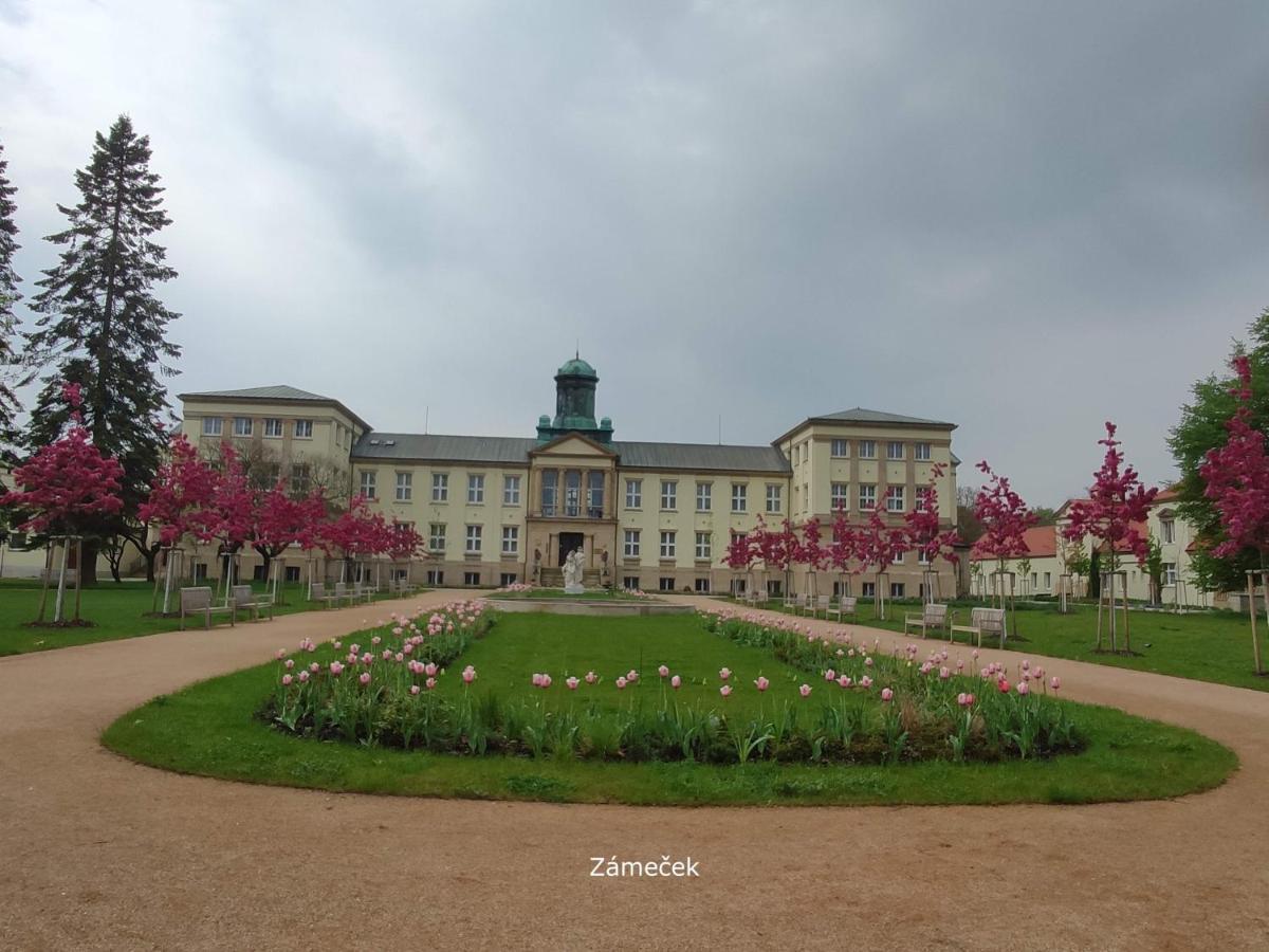 Homestay Poděbrady Dış mekan fotoğraf