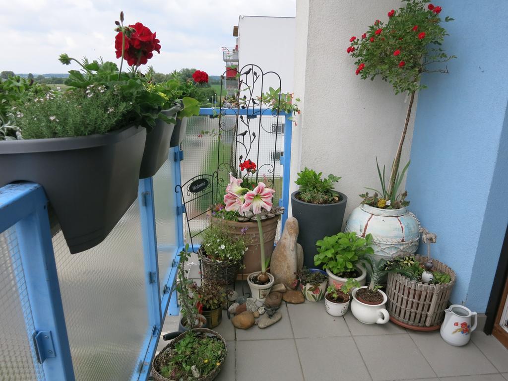 Homestay Poděbrady Dış mekan fotoğraf